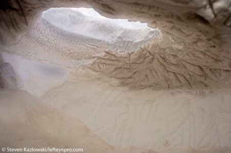 Polar Bears: Up Close and Personal Image